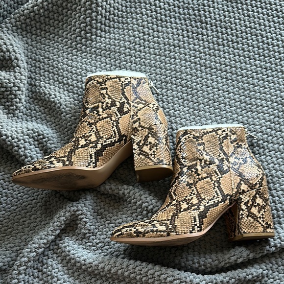 Steve Madden Shoes - Steve Madden Women's Snakeskin Ankle Boots